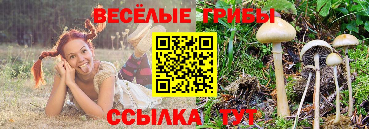 Галлюциногенные грибы мухоморы  Вход с VPN  Выкса 
